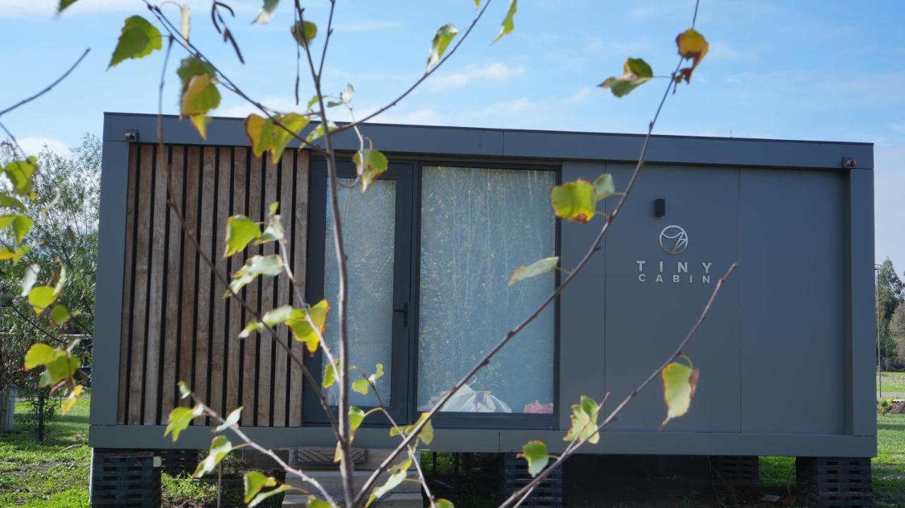 Tiny Colchagua Cabanas Y Padel Apartment ซานตาครูซ ภายนอก รูปภาพ